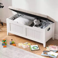 Storage Bench with Large Capacity, Modern Storage Chest for Living Room and Entryway