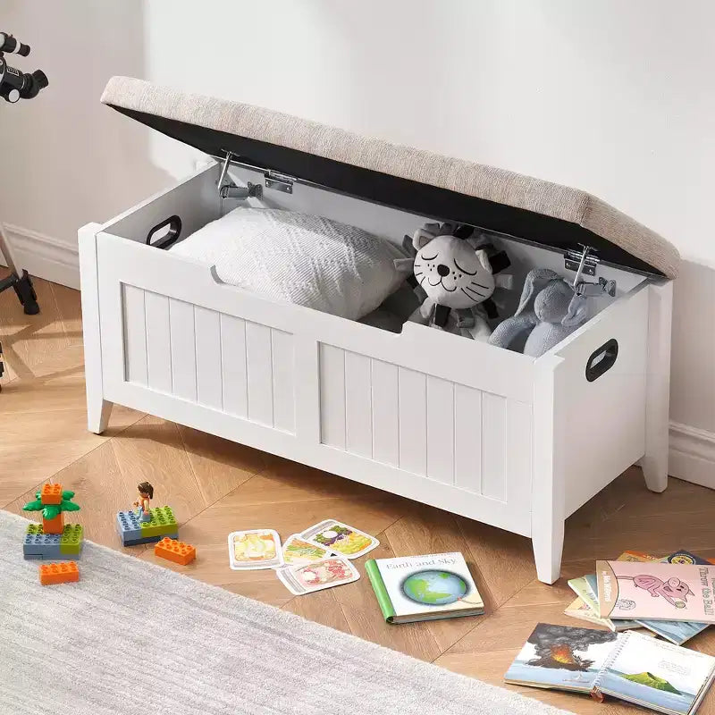 Storage Bench with Large Capacity, Modern Storage Chest for Living Room and Entryway