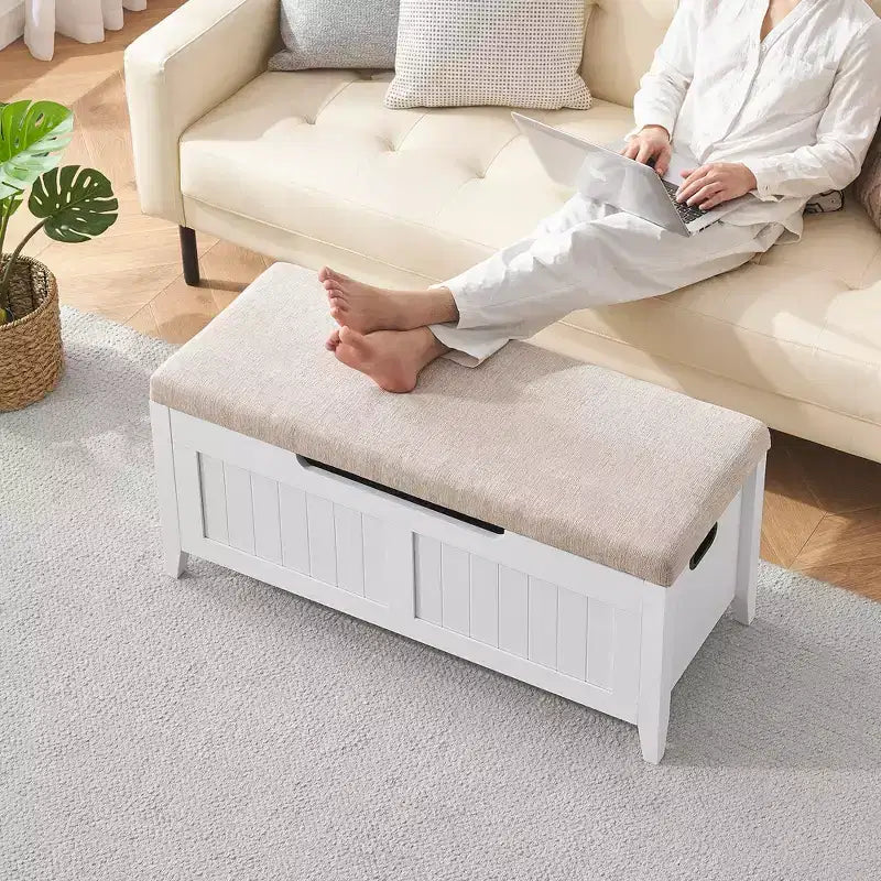 Storage Bench with Large Capacity, Modern Storage Chest for Living Room and Entryway